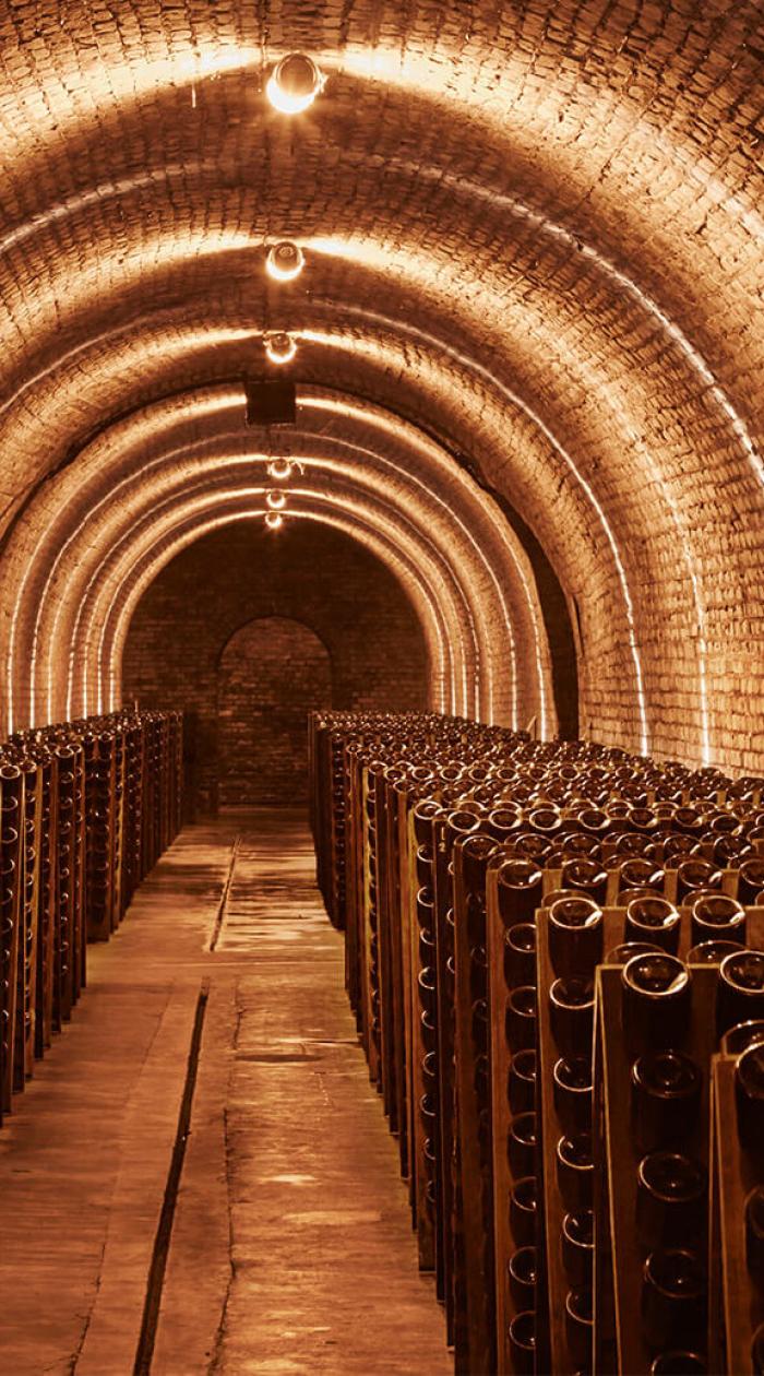 Krug's cellars in Reims