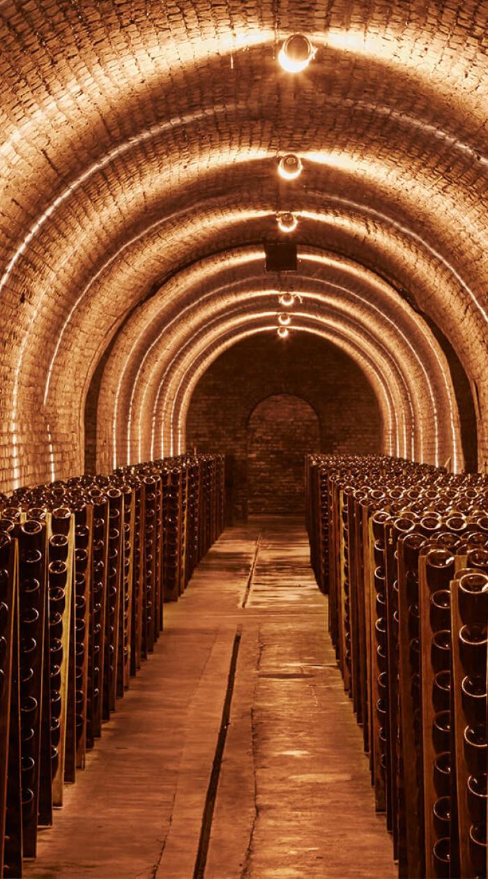Krug's cellars in Reims