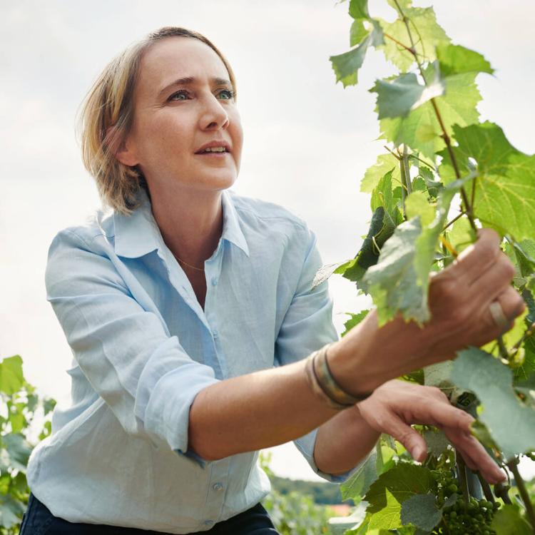Krug Cellar Master Julie Cavil in the vineyard