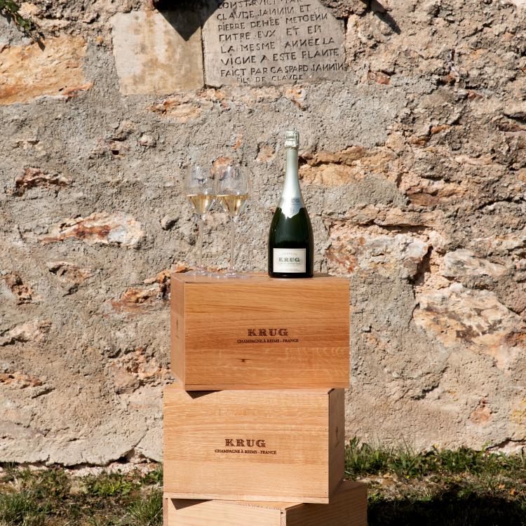 Krug-Photoshoot-vignes-DISKO-BD-5.jpg