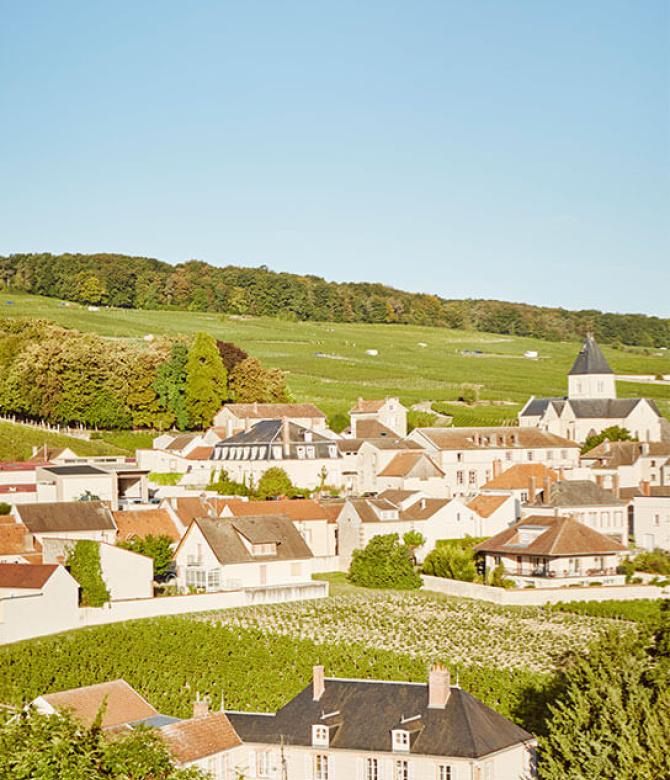 The Clos du Mesnil vineyard in the village of Le Mesnil-sur-Oger