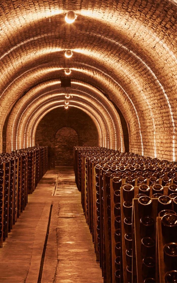 Krug's cellars in Reims